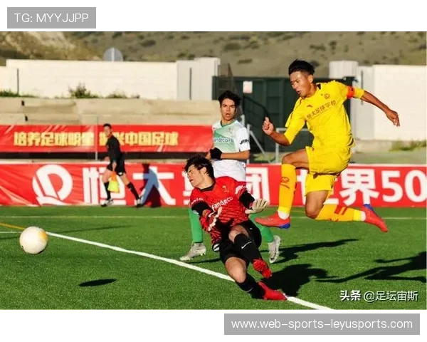 青训省级竞争升级：推动足球产业发展的新动力